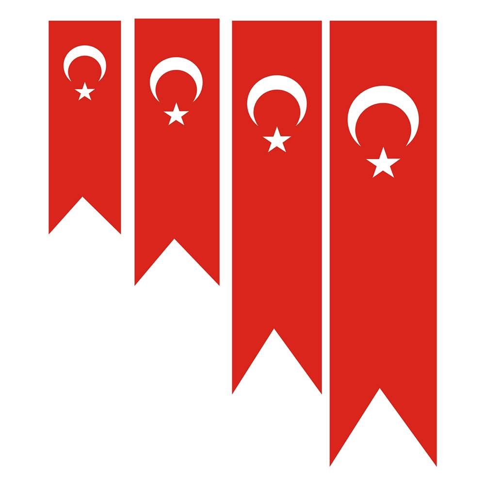 türk bayrağı